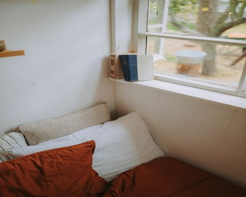 A calm domestic setting showing a cozy corner for resting